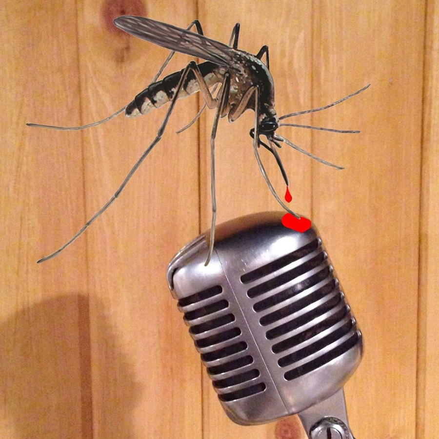 MosquitoRadioHour-SwarmOfTellers