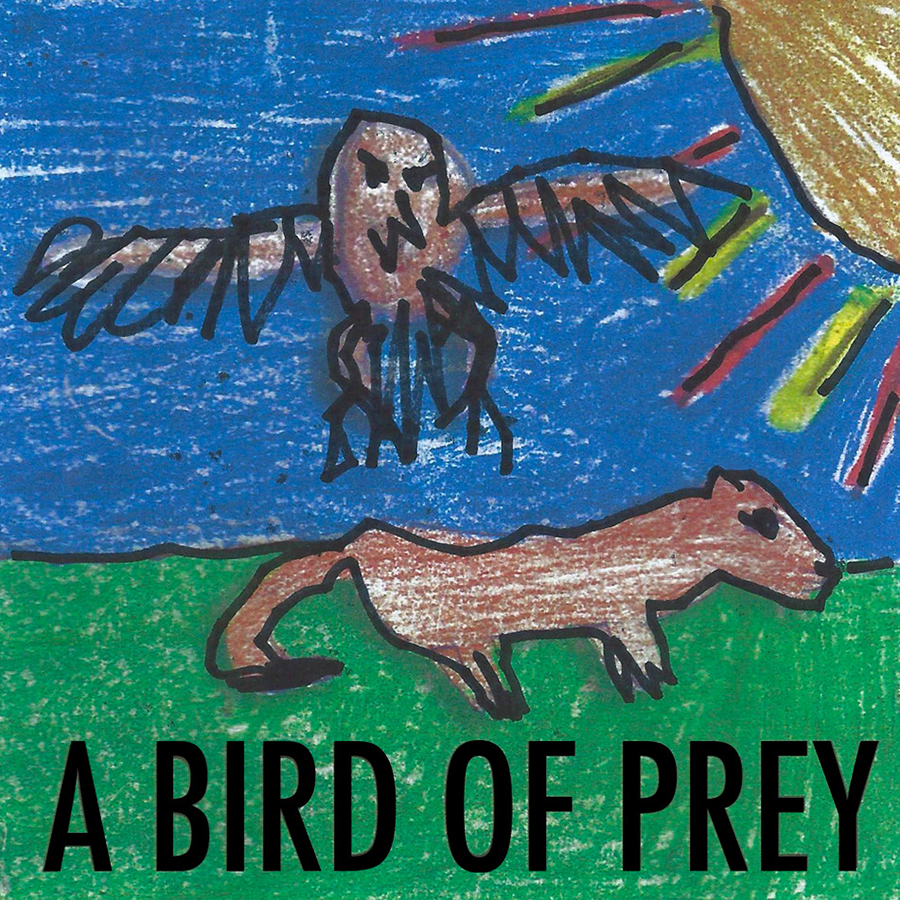 A BIRD OF PREY 3x3 Graphic - Draft 2.psd