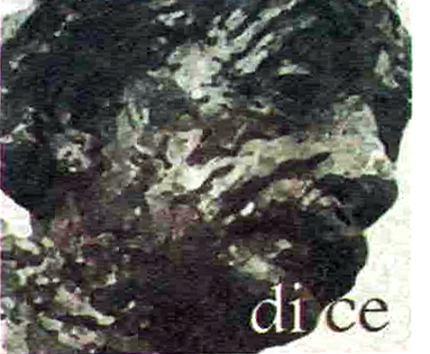 2005-dice